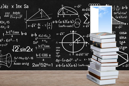 法國里昂商學院中外合作辦學招生計劃