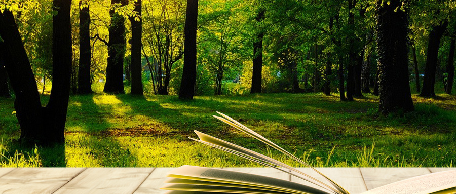 浙江理工大學MBA招生詳情 浙江理工大學MBA招生詳情