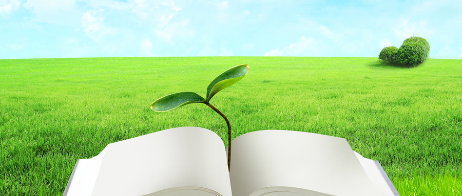 美國林肯大學EMBA招生情況