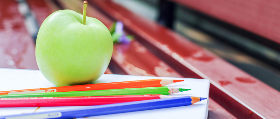 美國西頓大學國際碩士招生專業