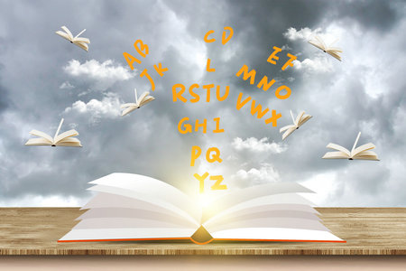 美國北亞利桑那大學在職研究生