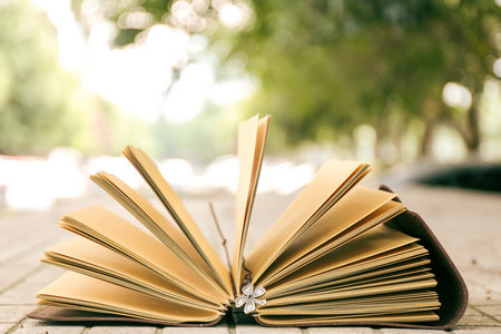 安徽農業(yè)大學在職研究生招生條件