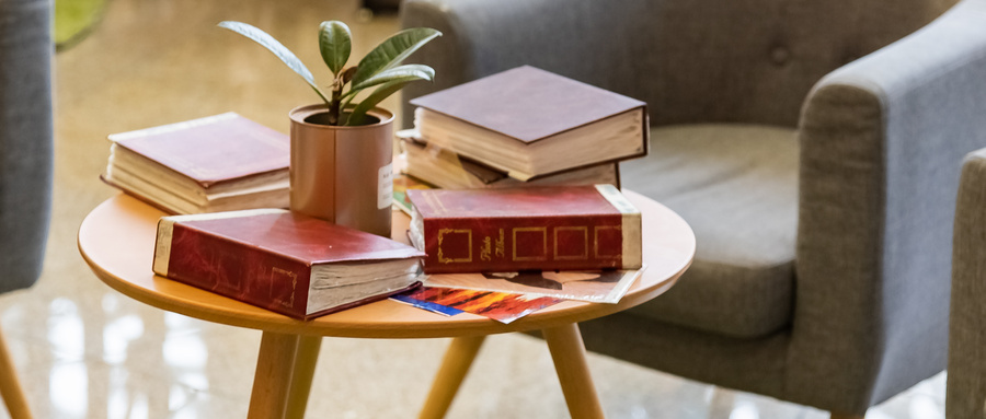 法國諾歐商學院工商管理（DBA）招生條件