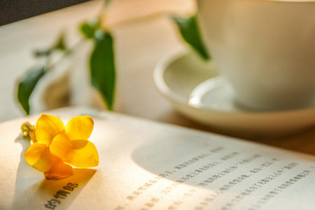 西安科技大學在職研究生工程管理碩士招生詳情 西安科技大學在職研究生工程管理碩士招生詳情