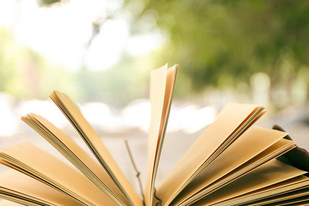 湖北美術學院在職研究生招生流程