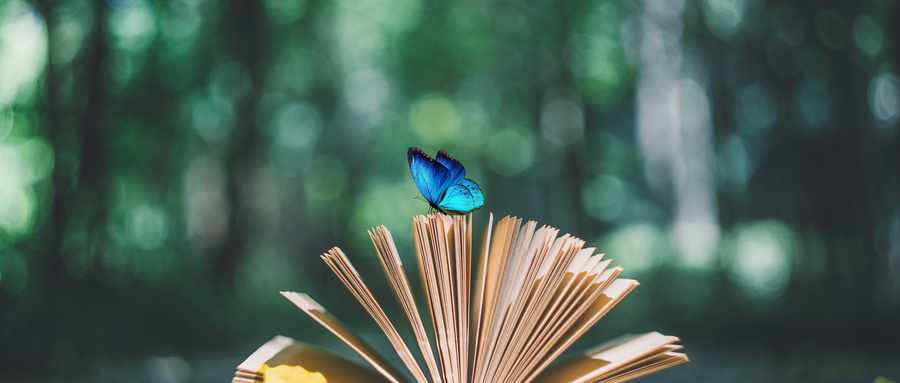 青海民族大學(xué)在職研究生招生情況 青海民族大學(xué)在職研究生招生情況