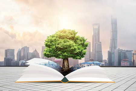 云南民族大學(xué)非全日制研究生招生專業(yè) 云南民族大學(xué)非全日制研究生招生專業(yè)