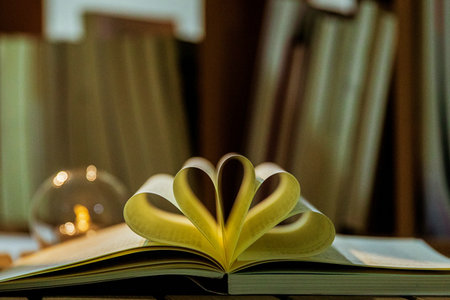 山東理工大學(xué)農(nóng)業(yè)管理碩士非全日制研究生招生情況