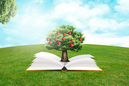 農業大學農業管理碩士非全日制研究生招生詳情