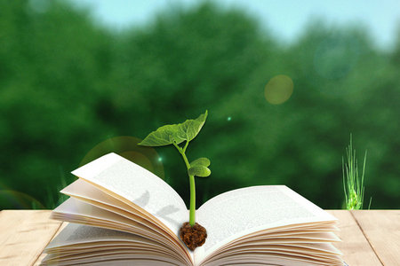 南昌大學(xué)中國古典文獻(xiàn)學(xué)同等學(xué)力招生信息 南昌大學(xué)中國古典文獻(xiàn)學(xué)同等學(xué)力招生信息