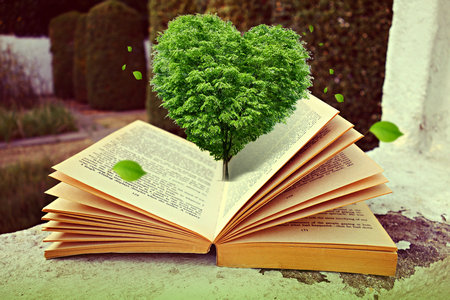 西南政法大學在職研究生招生專業