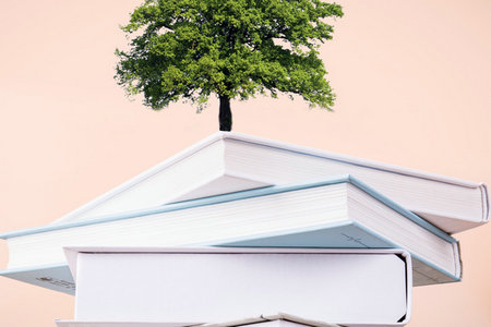 同濟大學金融專碩招生流程 同濟大學金融專碩招生流程