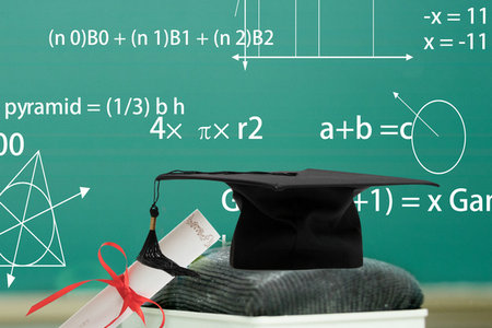 天津大學MPA招生人群