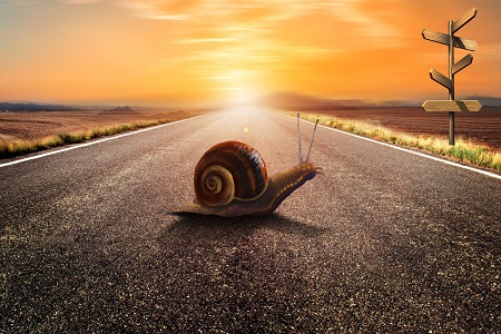 西安交通大學(xué)在職研究生招生信息 西安交通大學(xué)在職研究生招生信息