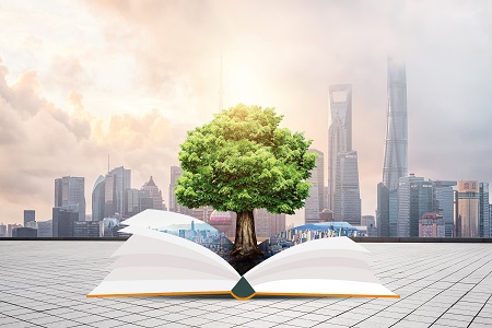 中央財經大學同等學力招生專業有哪些？