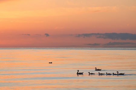 中國政法大學MBA招生類型有哪些？