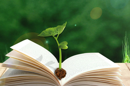 南昌大學(xué)在職研究生招生專業(yè) 南昌大學(xué)在職研究生招生專業(yè)