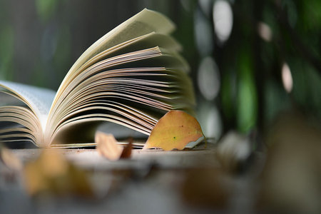 遼寧大學MBA專業招生情況