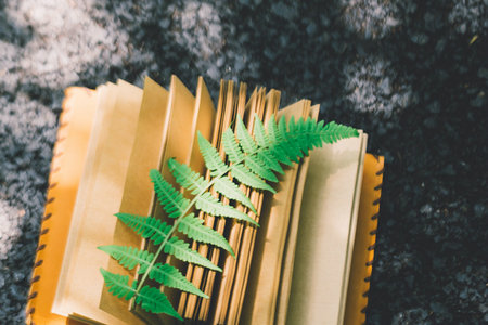 廣東財經大學同等學力申碩招生信息