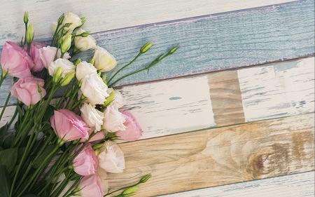 2022年河南財經政法大學MBA招生詳情