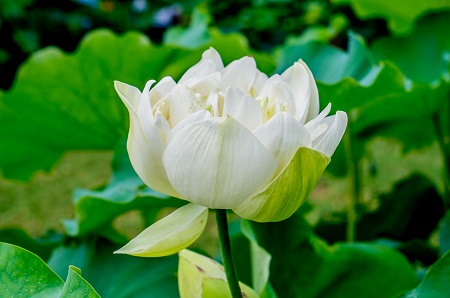 你了解嗎？西南交通大學(xué)非全日制研究生招生條件