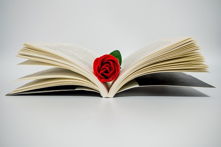 你了解嗎？廈門大學(xué)同等學(xué)力招生流程