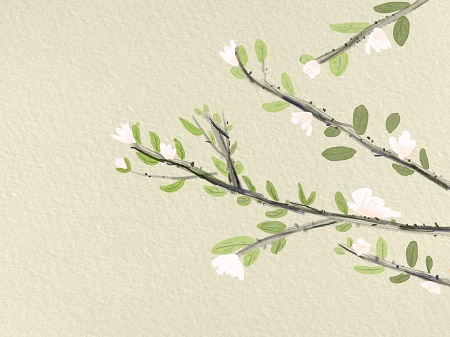 西南財經(jīng)大學MBA招生條件介紹！