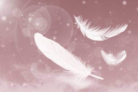 看看你符合嗎？首都經(jīng)濟貿(mào)易大學(xué)MPA招生條件