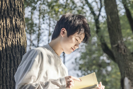 荷蘭商學院國際博士招生詳情