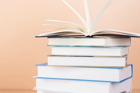 美國索菲亞大學(xué)國際碩士有招生嗎