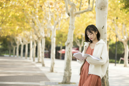 美國加利福尼亞州立大學國際博士招生信息