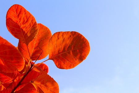 西南財經(jīng)大學在職研究生熱門招生專業(yè)推薦! 西南財經(jīng)大學在職研究生熱門招生專業(yè)推薦!