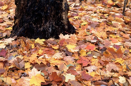 武漢工程大學(xué)非全日制研究生MBA專(zhuān)業(yè)正在招生中！