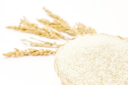 招生進行中!西南大學非全日制研究生招生詳情 招生進行中!西南大學非全日制研究生招生詳情