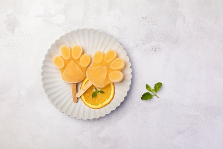 中國社會科學院研究生院在職博士招生條件介紹 中國社會科學院研究生院在職博士招生條件介紹