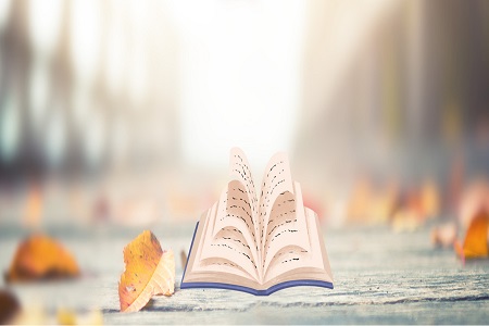 山東大學MEM招生流程