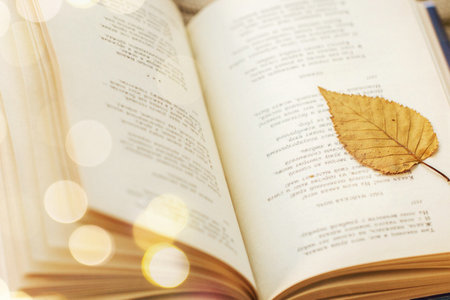 上海財經大學MPAcc招生流程