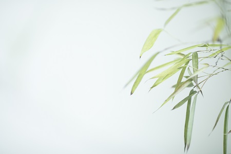 首都經(jīng)濟(jì)貿(mào)易大學(xué)中外合作辦學(xué)招生優(yōu)勢是什么？