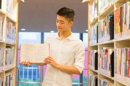 英賽克高等商學院招生類型及專業