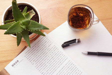 2022年中央財經大學MPAcc招生詳情