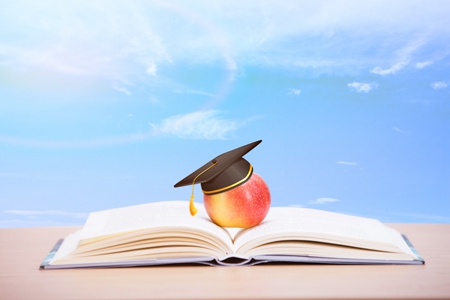 刑法學(xué)在職博士招生院校匯總!哪個(gè)學(xué)校好? 刑法學(xué)在職博士招生院校匯總!哪個(gè)學(xué)校好?