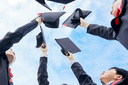 北京林業大學同等學力申碩招生專業