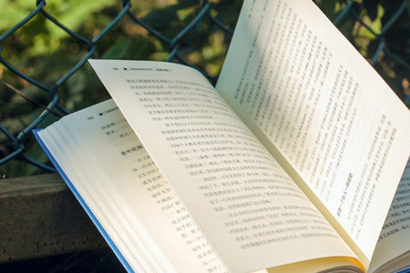 海南同等學力申碩報名時間 海南同等學力申碩報名時間