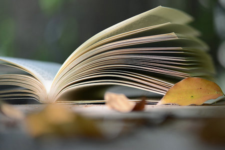 山東大學(xué)國(guó)際貿(mào)易學(xué)在職研究生招生信息