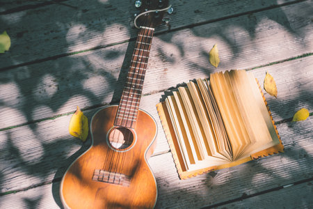 馬來(lái)西亞林肯大學(xué)學(xué)院國(guó)際博士招生流程 馬來(lái)西亞林肯大學(xué)學(xué)院國(guó)際博士招生流程