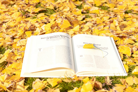 天津理工大學(xué)MBA招生條件