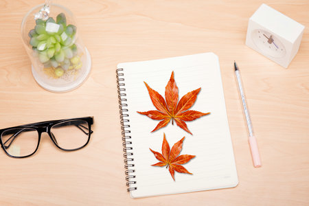 西班牙馬德里康普頓斯大學國際博士招生流程