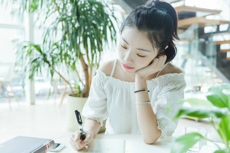 美國西東大學國際博士招生專業目錄一覽表