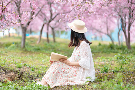 西安外國語大學非全日制研究生招生人群