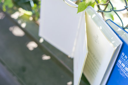 深圳大學同等學力申碩心理學招生條件